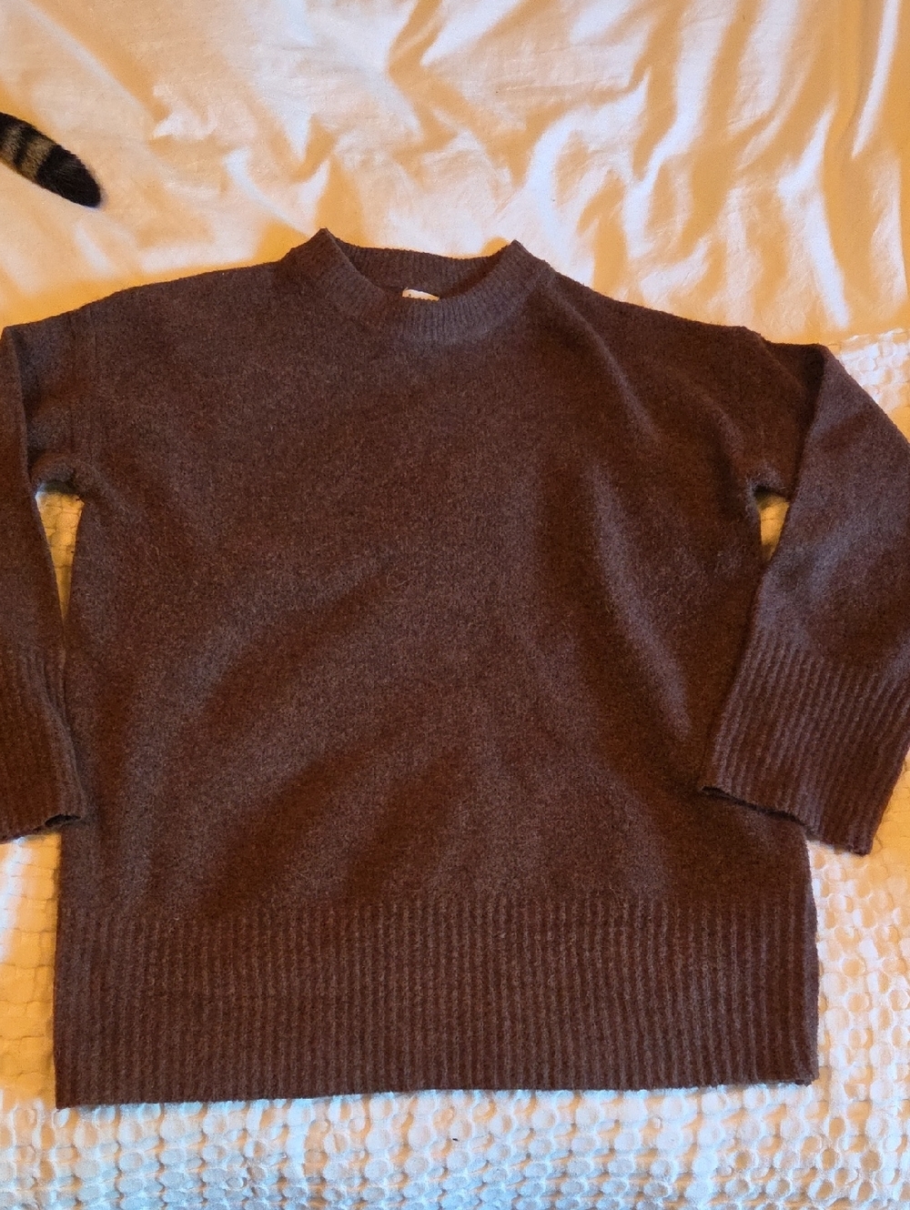 a new day Women's Crewneck Sweater in Dark Brown